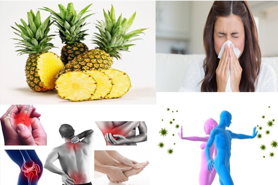 Công dụng tuyệt vời của trái khóm đối với sức khỏe Gallery 2