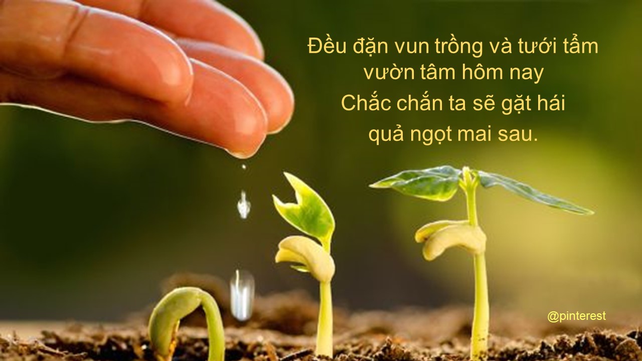 Lối sống tử tế là gì? Gallery 2