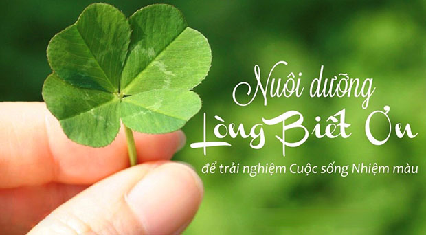 Nhận định về lòng biết ơn Gallery 2