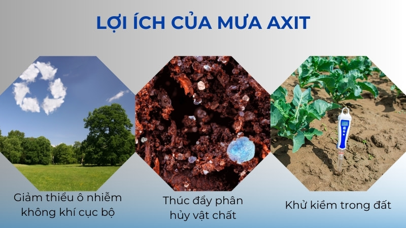 Lợi ích của mưa axit