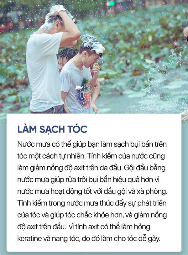Lợi ích của mưa axit Gallery 2