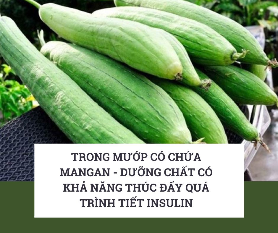 Trẻ mấy tháng ăn được mướp hương? Gallery 2