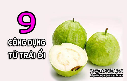 Công dụng tuyệt vời của quả ổi Gallery 1