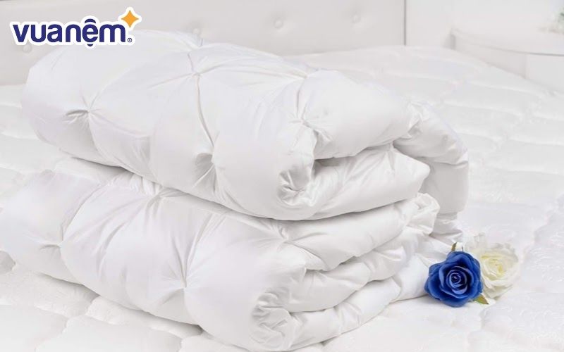 Ruột Chăn Lông Vũ: Sự Lựa Chọn Hoàn Hảo Cho Giấc Ngủ Ấm Áp Và Thoải Mái Gallery 1