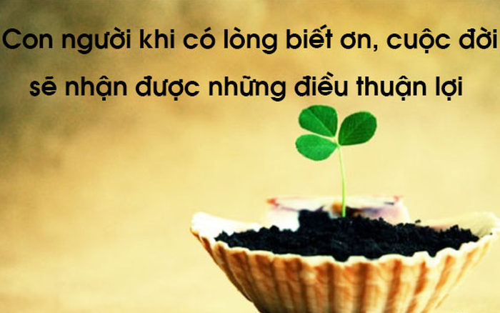 Ý nghĩa của sự biết ơn Gallery 1
