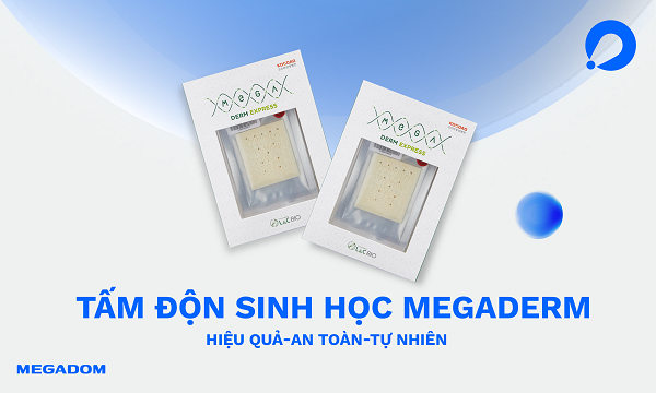 Tấm Độn Sinh Học: Ứng Dụng và Lợi Ích Gallery 2