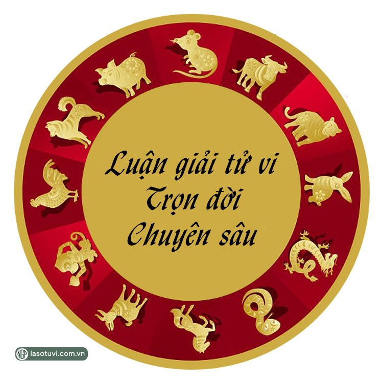 Tư Vấn Trọn Đời: Đồng Hành Cùng Bạn Trên Mọi Chặng Đường Gallery 1