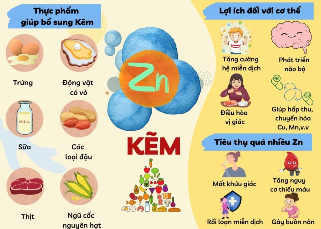 Cách dùng Kẽm Zinc hiệu quả và an toàn Gallery 2