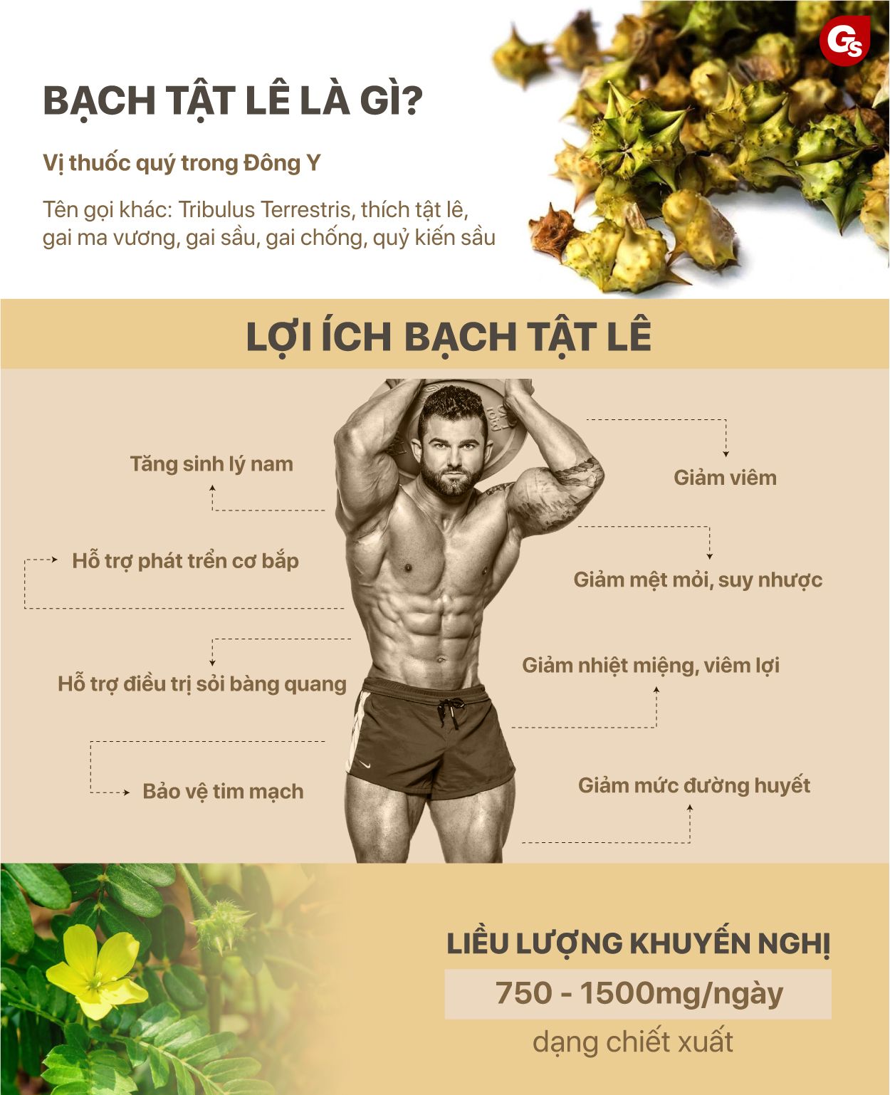 Liều Lọ Là Gì? Hướng Dẫn Chi Tiết Về Liều Lọ Gallery 2