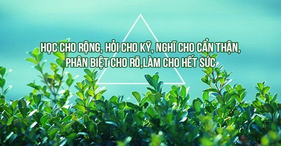 Những Câu Thơ Hay Về Học Tập Gallery 2