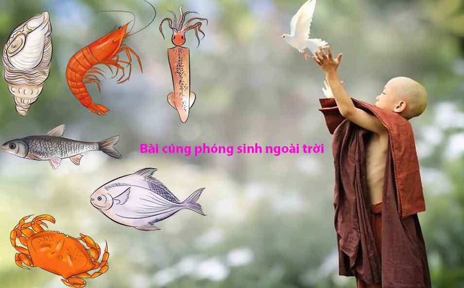 Văn Khấn Phóng Sinh Cá Chuẩn, Nghiêm Túc Nhất Gallery 1
