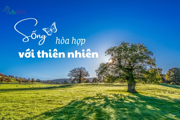 Sống Hòa Minh Với Thiên Nhiên Gallery 1
