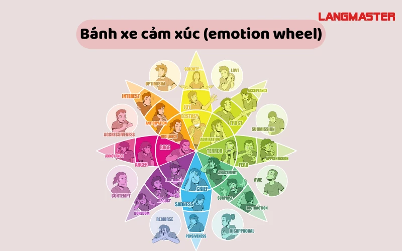 Bánh Xe Cảm Xúc: Công Cụ Tuyệt Vời Để Hiểu và Quản Lý Cảm Xúc Gallery 2