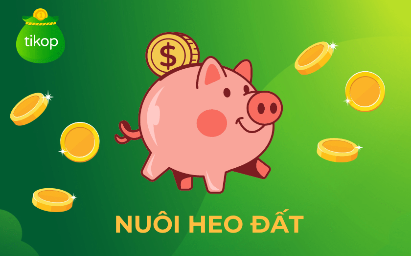 Heo Đất Là Gì? Gallery 2