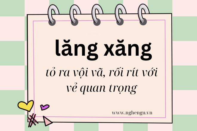 Lăn Xăn Là Gì? Hướng Dẫn Sử Dụng và Chăm Sóc Gallery 1
