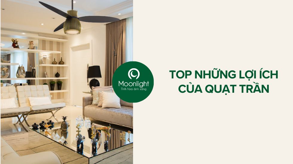 Quạt Trần Máy Bay: Hệ Thống Làm Mát Hiệu Quả Trên Không Gallery 2