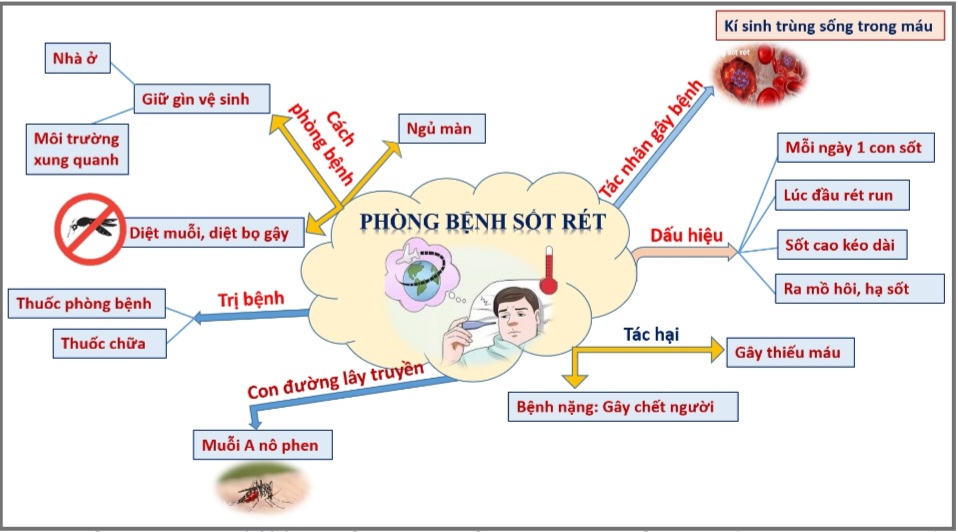 Sơ Đồ Tư Duy Luyện Từ Và Câu Lớp 5: Phương Pháp Học Hiệu Quả Gallery 2