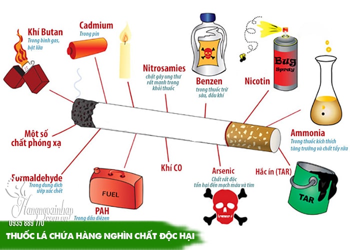 Thuốc Lá Không Nicotine: Sự Thật Về Những Sản Phẩm Thay Thế Gallery 2