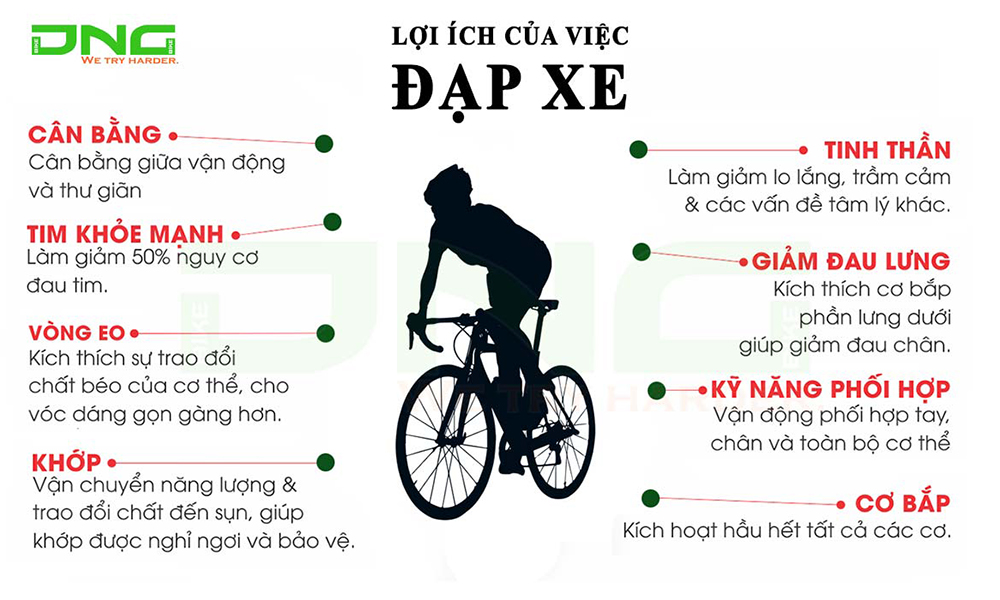 Giới thiệu về Xe Đạp: Loại phương tiện di chuyển thân thiện với môi trường và sức khỏe Gallery 2