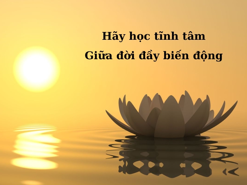 Tĩnh Tâm Là Gì? Gallery 2