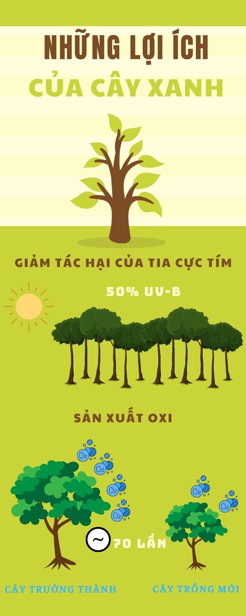 Em Rất Thích Trồng Nhiều Cây Xanh Gallery 1