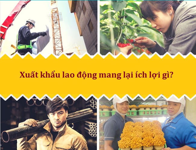 Xuất là gì? Định nghĩa, Ví dụ và Ứng dụng Gallery 2