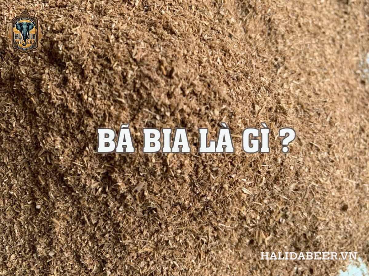 Hèm Bia Là Gì? Gallery 2