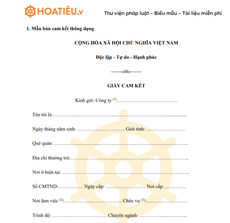 Mẫu Bản Cam Kết File Word Chuẩn, Dễ Sử Dụng Gallery 2