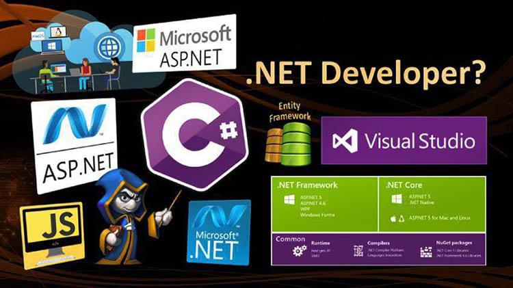 Ngôn ngữ lập trình .NET là gì? Gallery 1