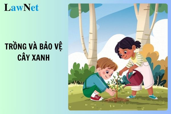 Ý nghĩa thực tiễn của việc trồng và bảo vệ cây xanh Gallery 2