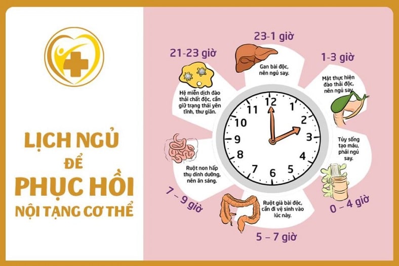 Lợi ích không ngờ khi ngủ sớm