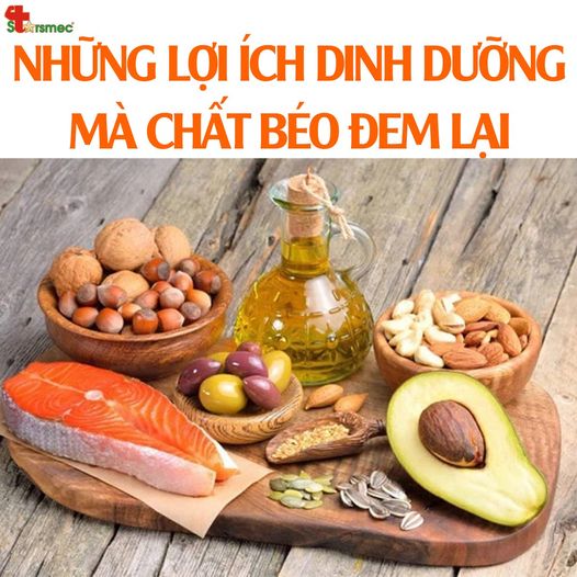 Chất béo thực vật là gì? Lợi ích và tác hại của chất béo thực vật Gallery 2