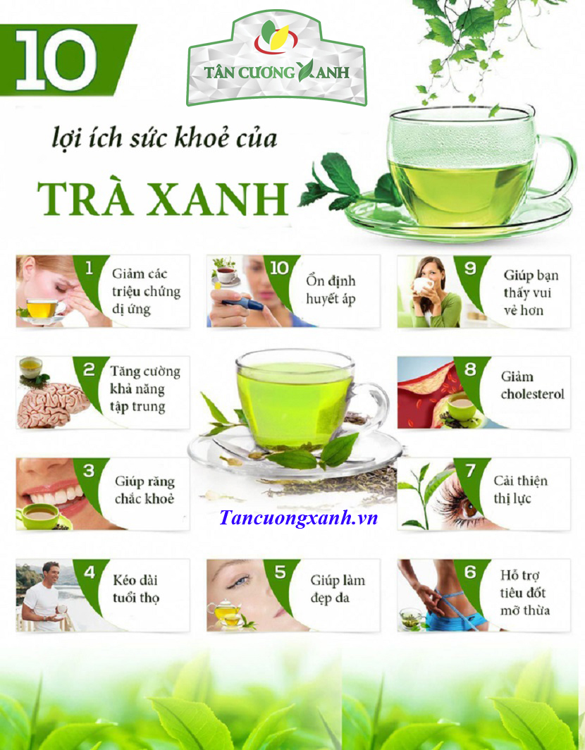 Chè xanh là gì? Gallery 2