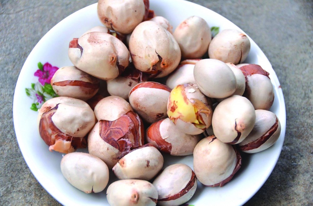 Hạt Mít Rang Muối - Món Ăn Vặt Giòn Tan, Thơm Ngon Gallery 1