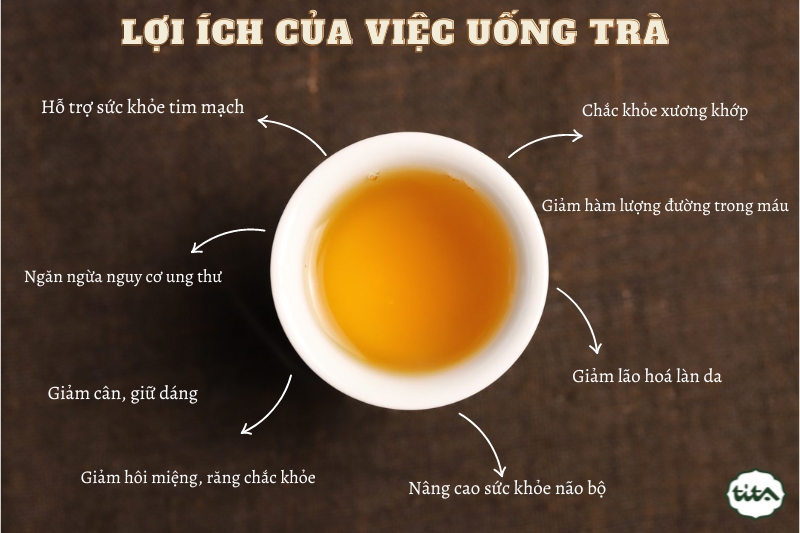 Tràt là gì? Thông tin chi tiết về Tràt Gallery 2