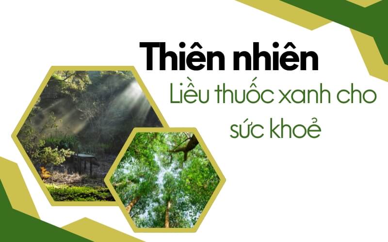 Thiên nhiên là liều thuốc xanh cho cuộc sống hiện đại Gallery 2