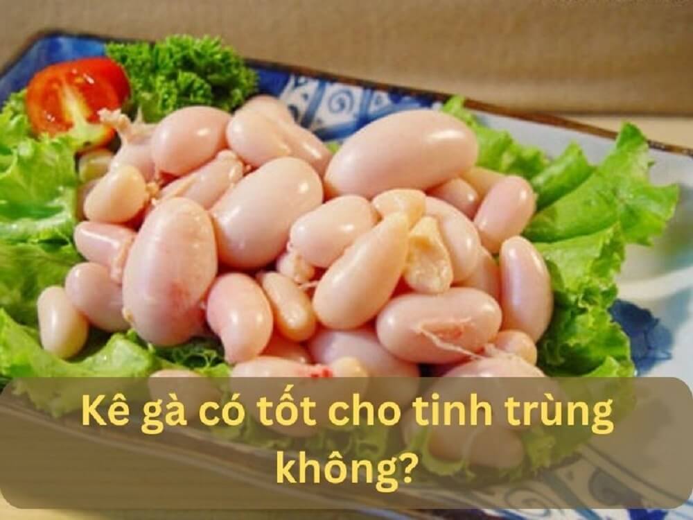 Ăn Kê Gà Có Tác Dụng Gì? Gallery 1