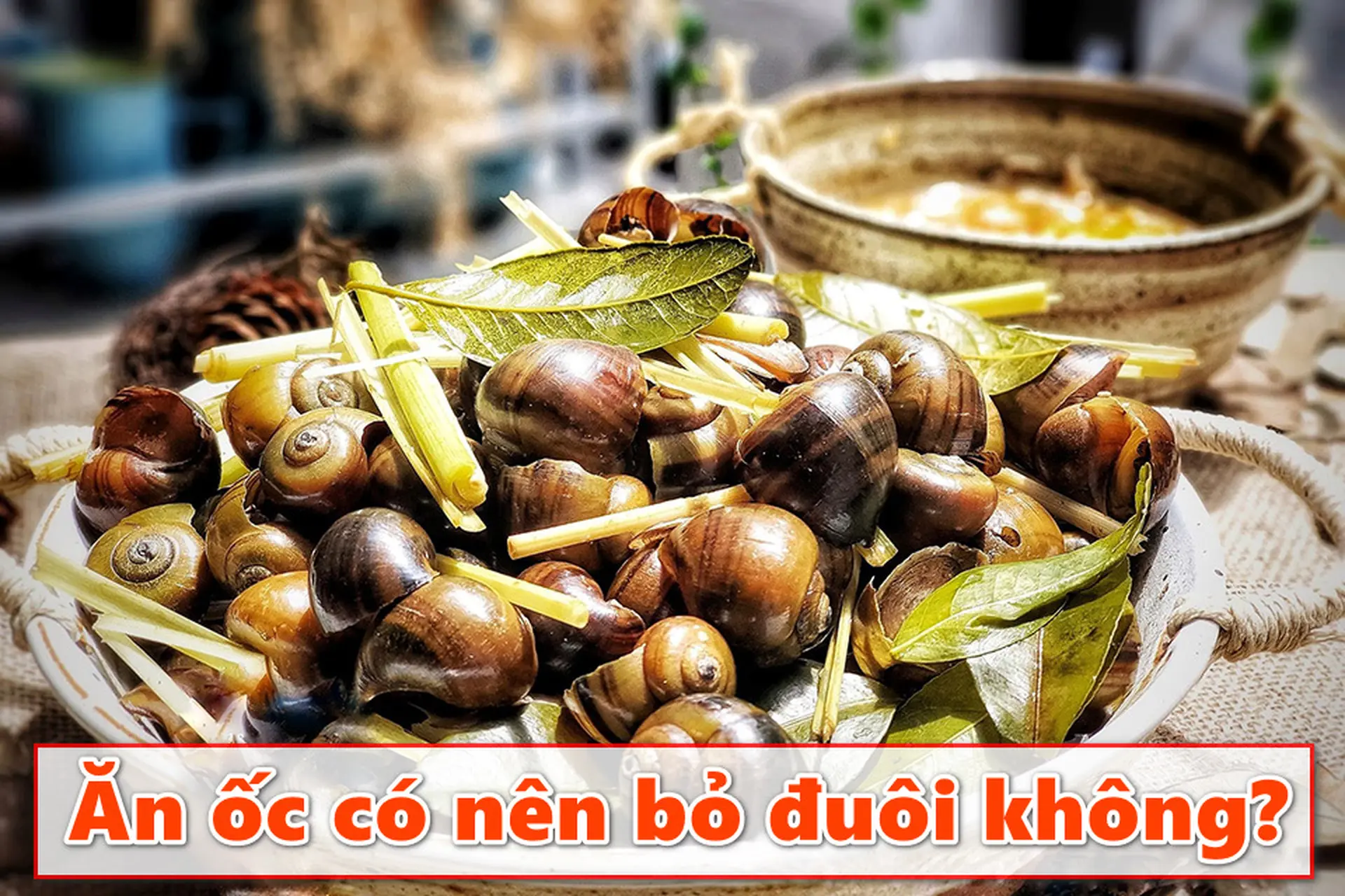 Có Nên Ăn Phần Đuôi Ốc? Gallery 1