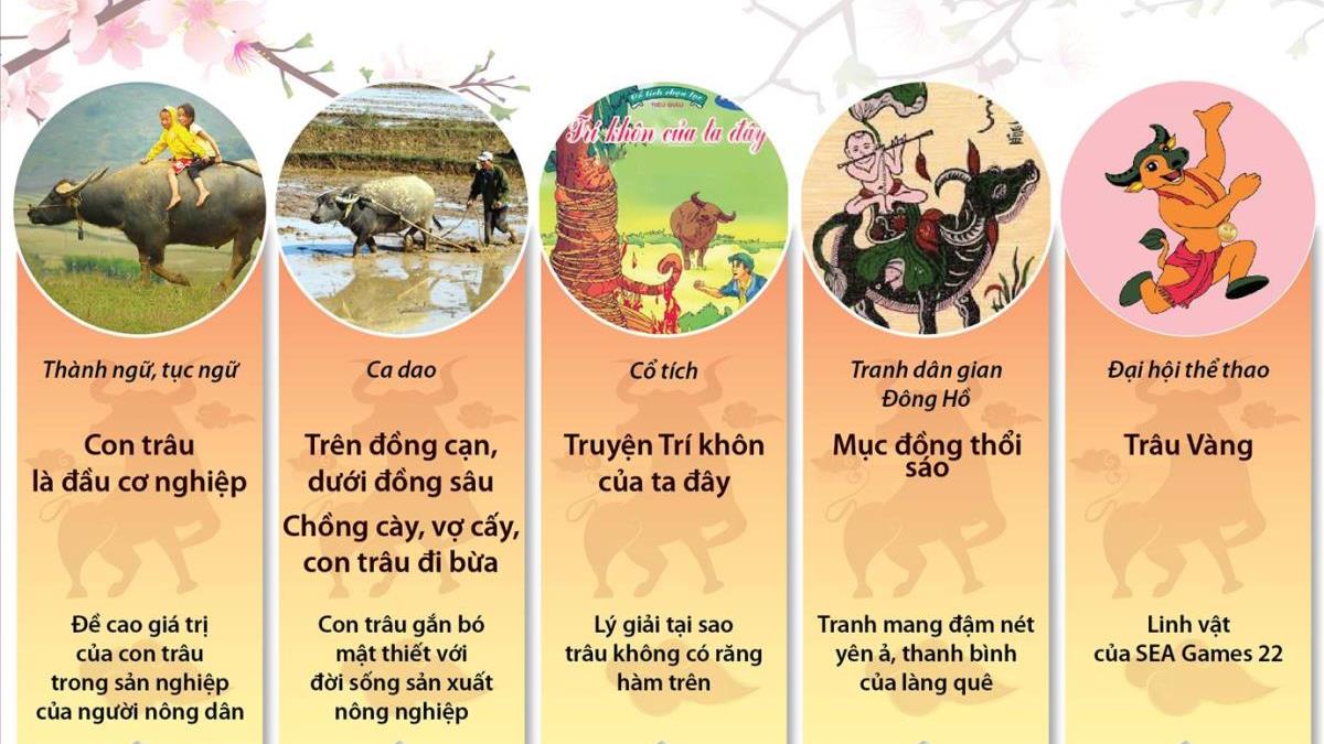 Lợi ích của con trâu Gallery 2