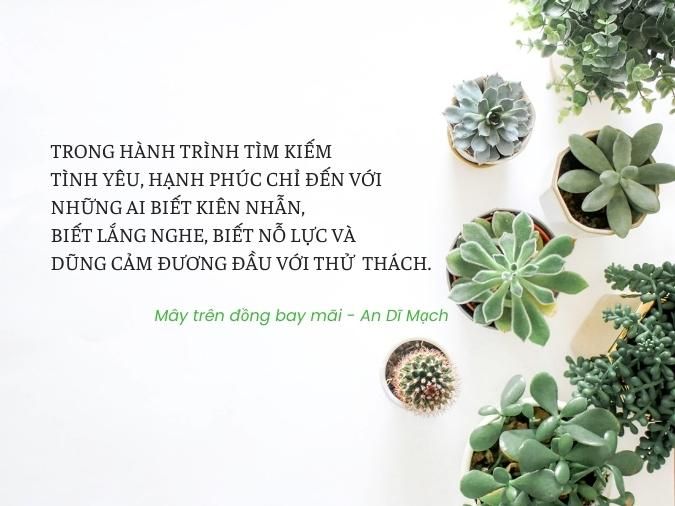 Gửi người dũng cảm Gallery 2