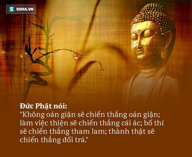 Lời Phật dạy khi bị người khác chửi