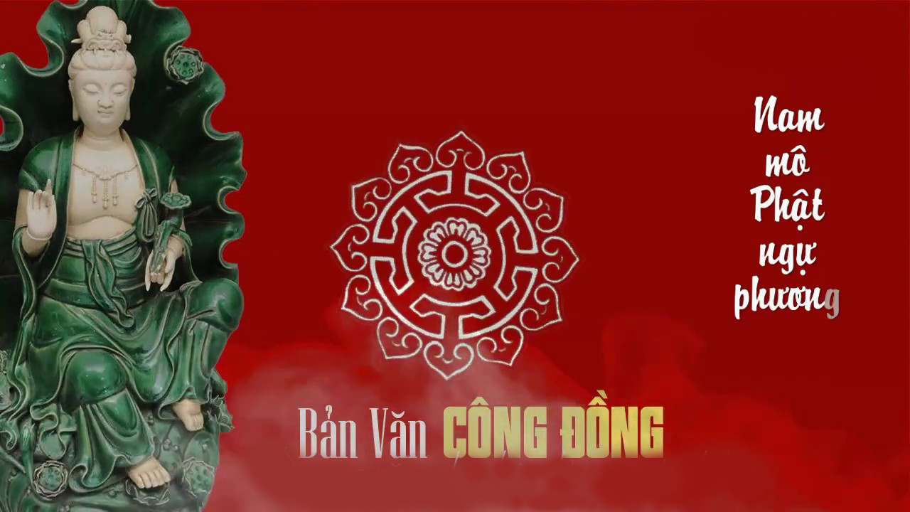 Viết Bài Chuẩn SEO Với Lời Văn Công Đồng