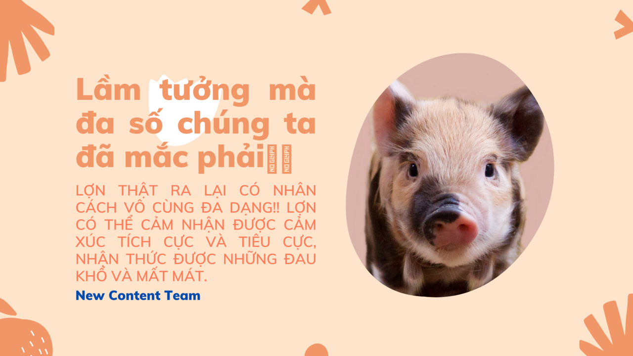 Lợn hay chó thông minh hơn?