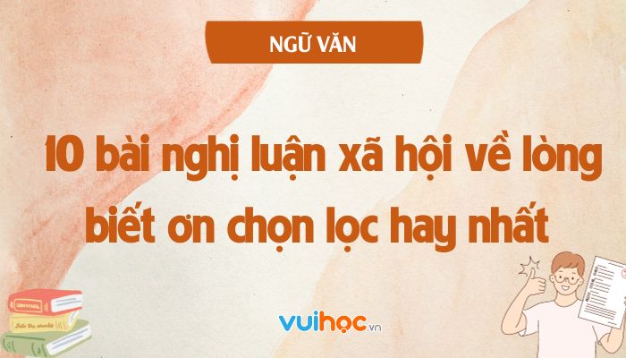 Bài Văn Về Lòng Biết Ơn Gallery 1