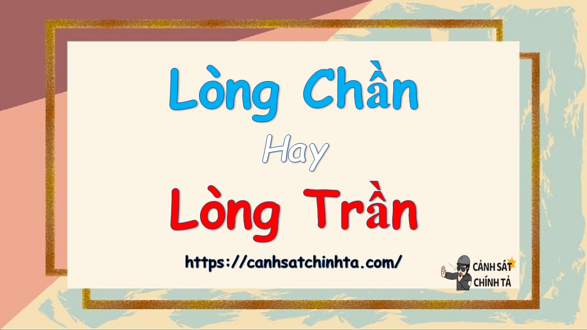 Lòng Chần Hay Lòng Trần? Giải Đáp Thắc Mắc