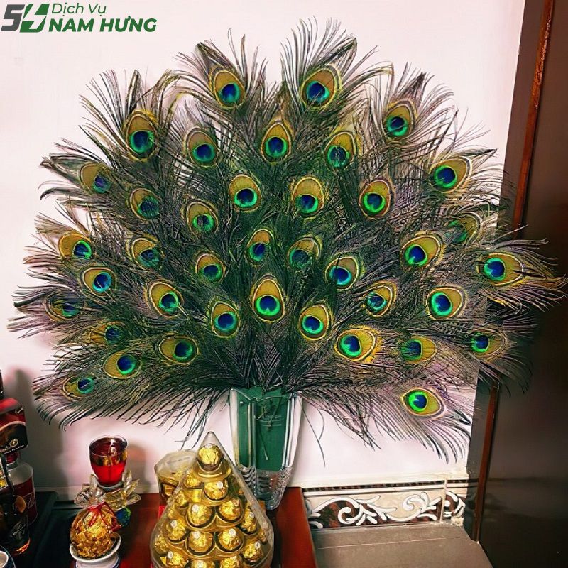 Lông Công Nên Cắm Bao Nhiêu Cành?