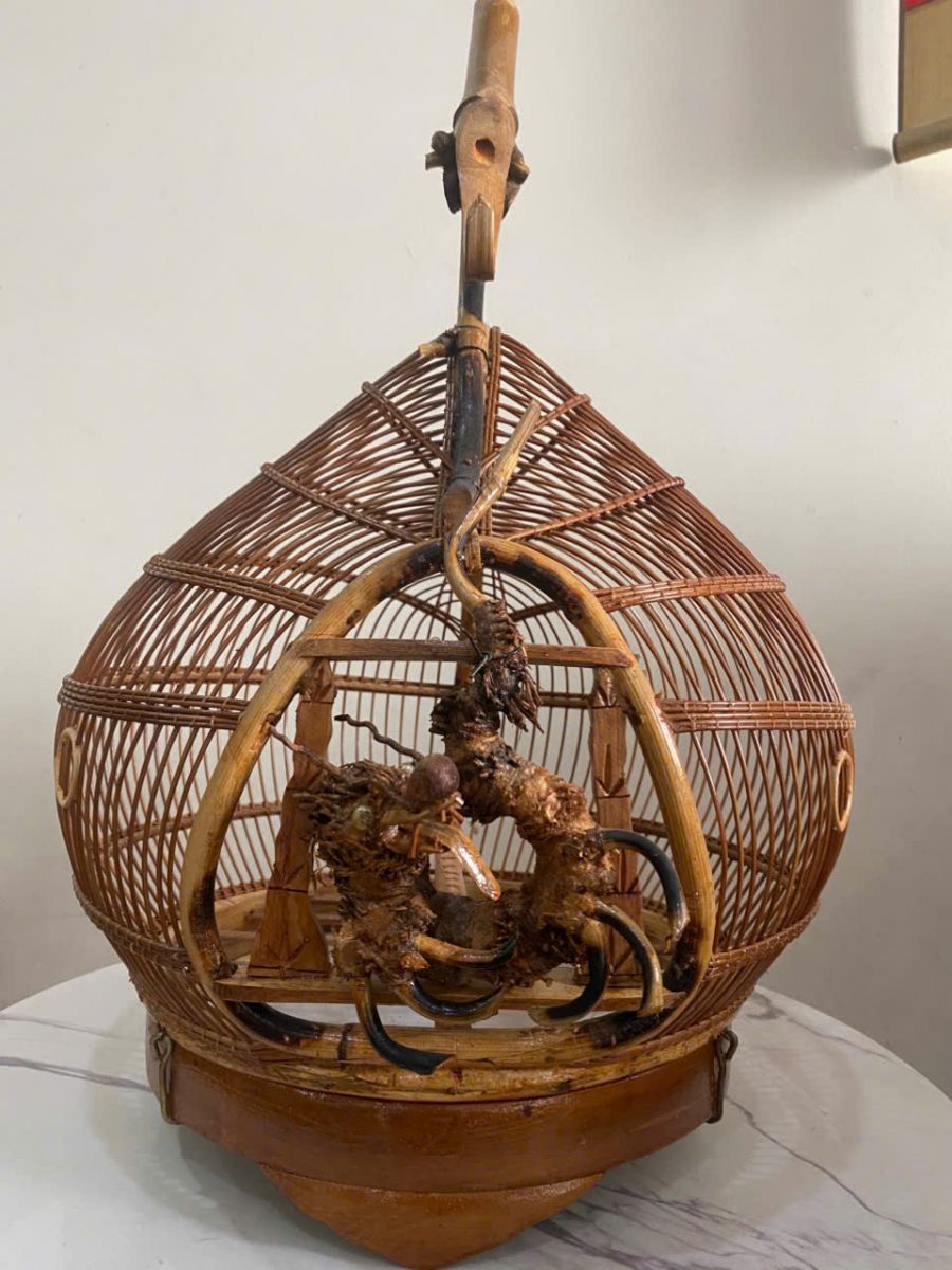 Lồng Cu Gáy Đẹp: Chọn Lồng Như Thế Nào Cho Chim Cưng?