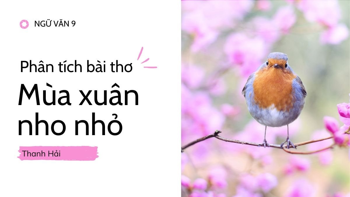 Liên hệ mở rộng bài Mùa xuân nho nhỏ Gallery 2