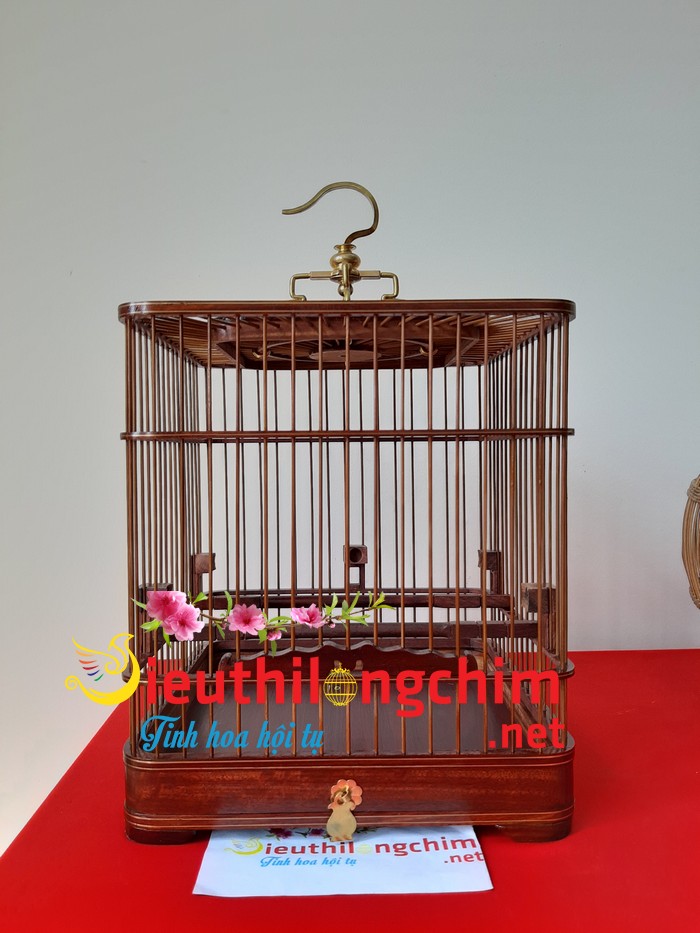 Lông Khuyên Vuông Đẹp