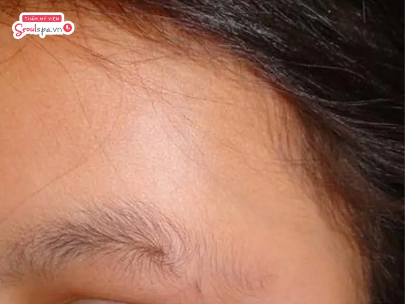 Lông Mày Xoắn Đuôi: Hướng Dẫn Tạo Kiểu Và Chọn Kiểu Phù Hợp